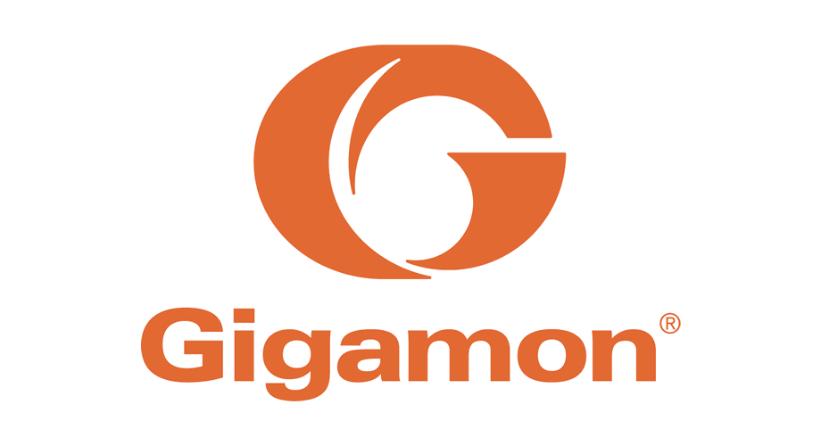 Gigamon